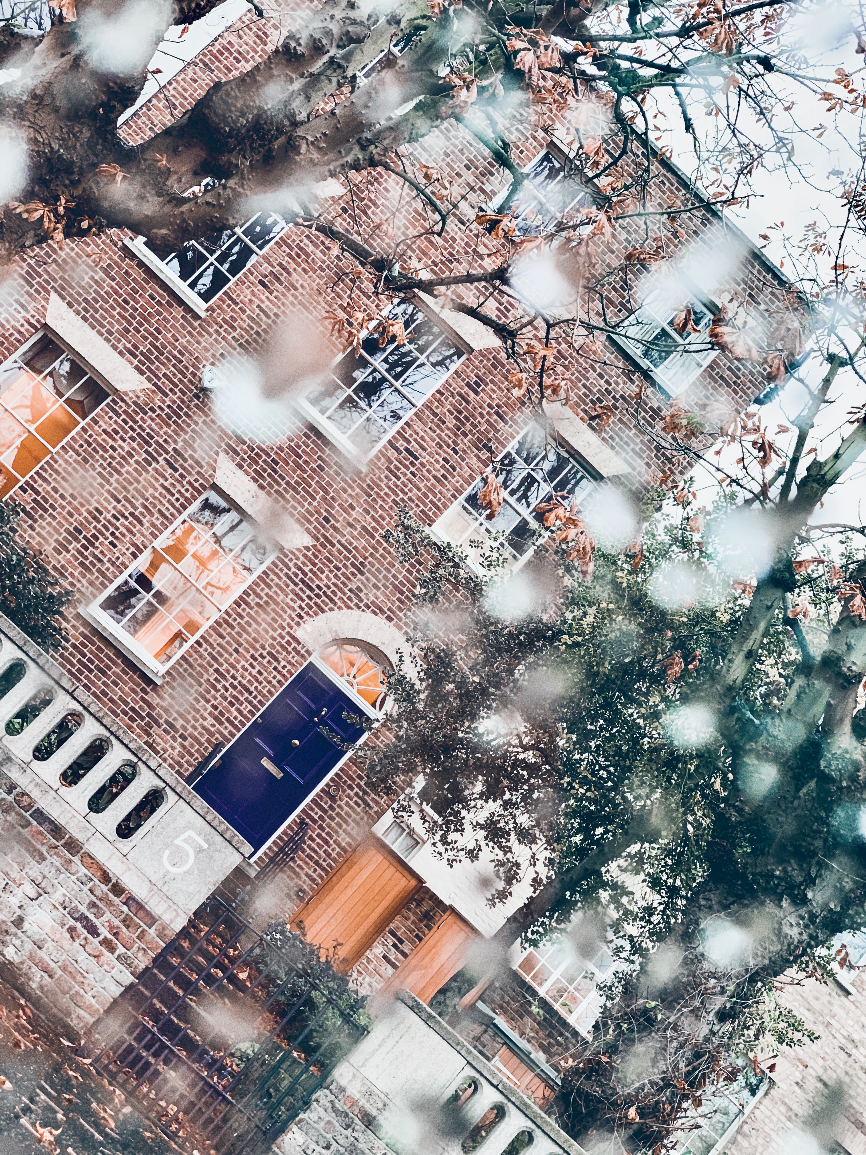 29th of February- Never, Never, Never