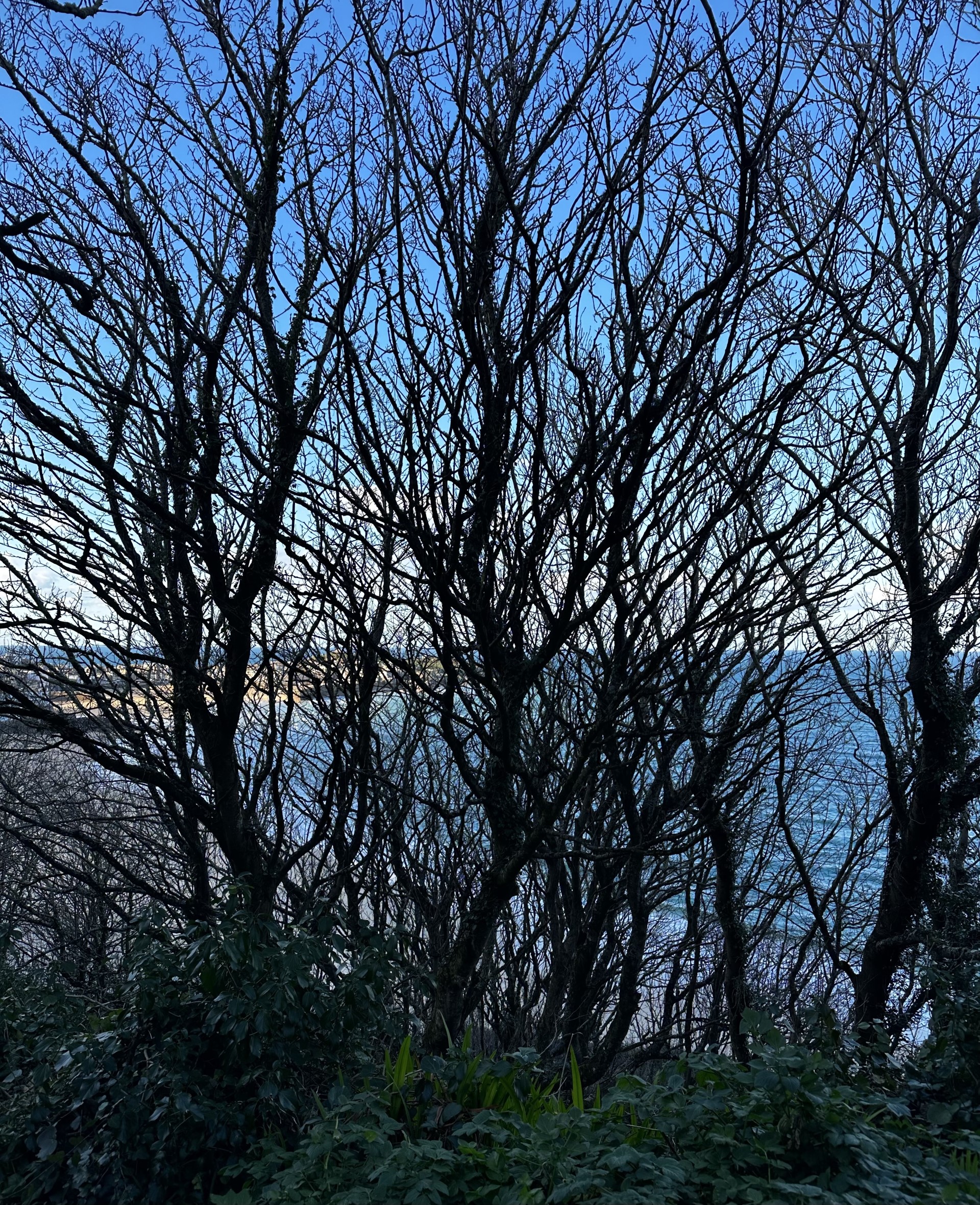 #11 | MOTHERS & THEIR DAUGHTERS